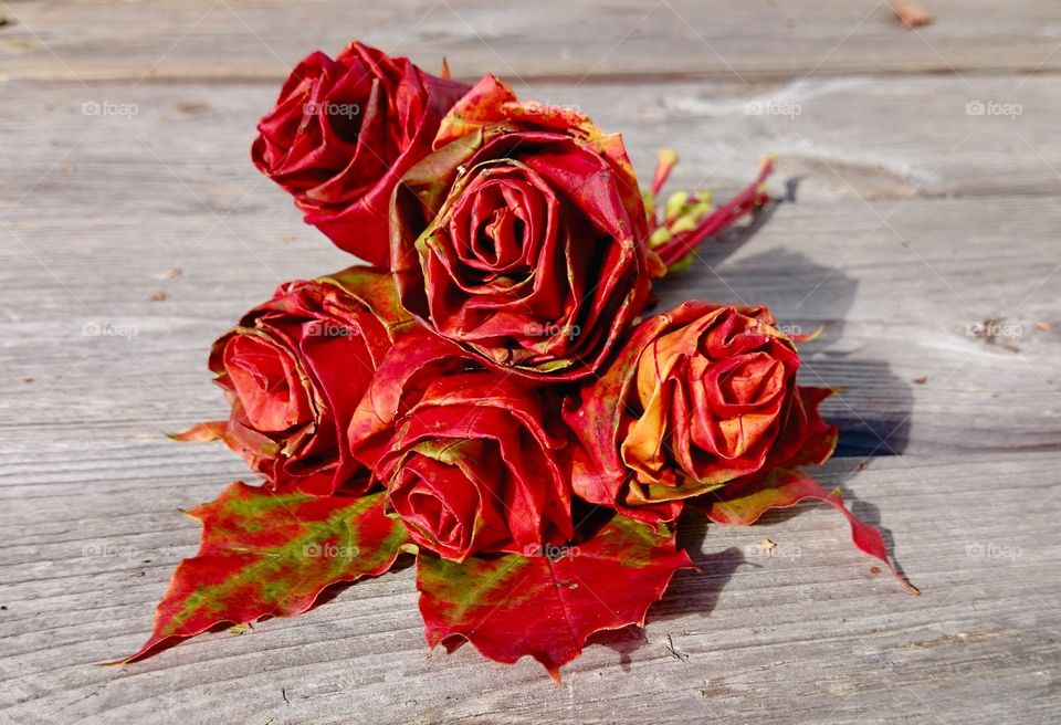 Roses made of mapleleafs. Roses made of mapleleafs