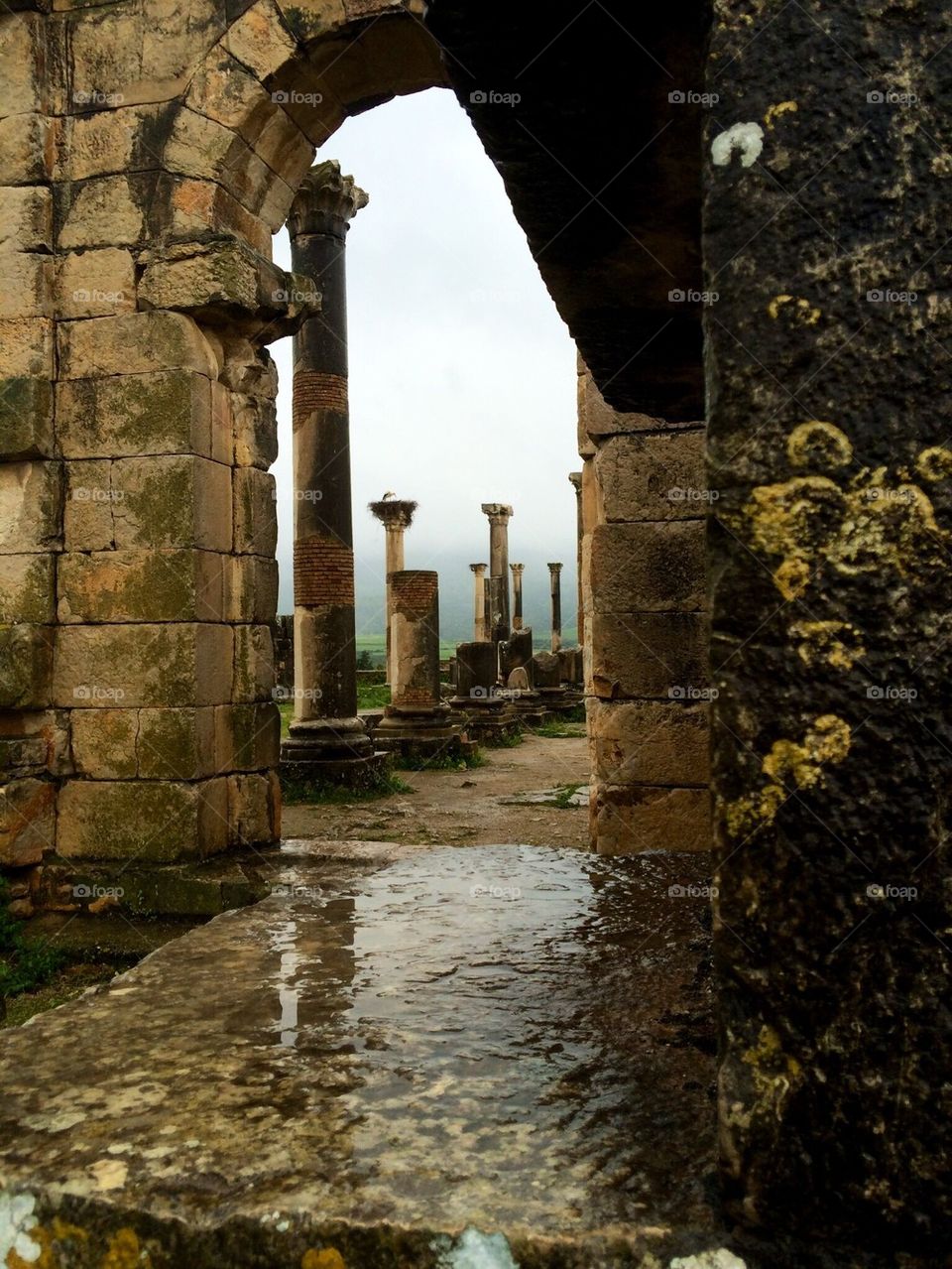 Ruins of Volubilis