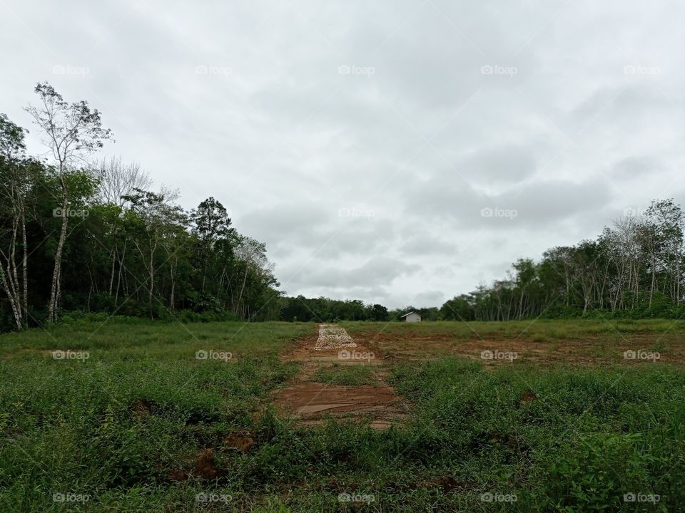 Want to be famous in the residential complex, land for sale in plots ...