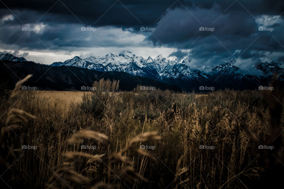 Vacation in the Grand Tetons