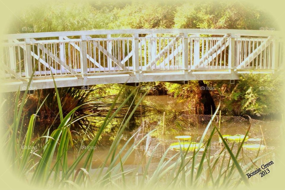 Bridge I've the Brook