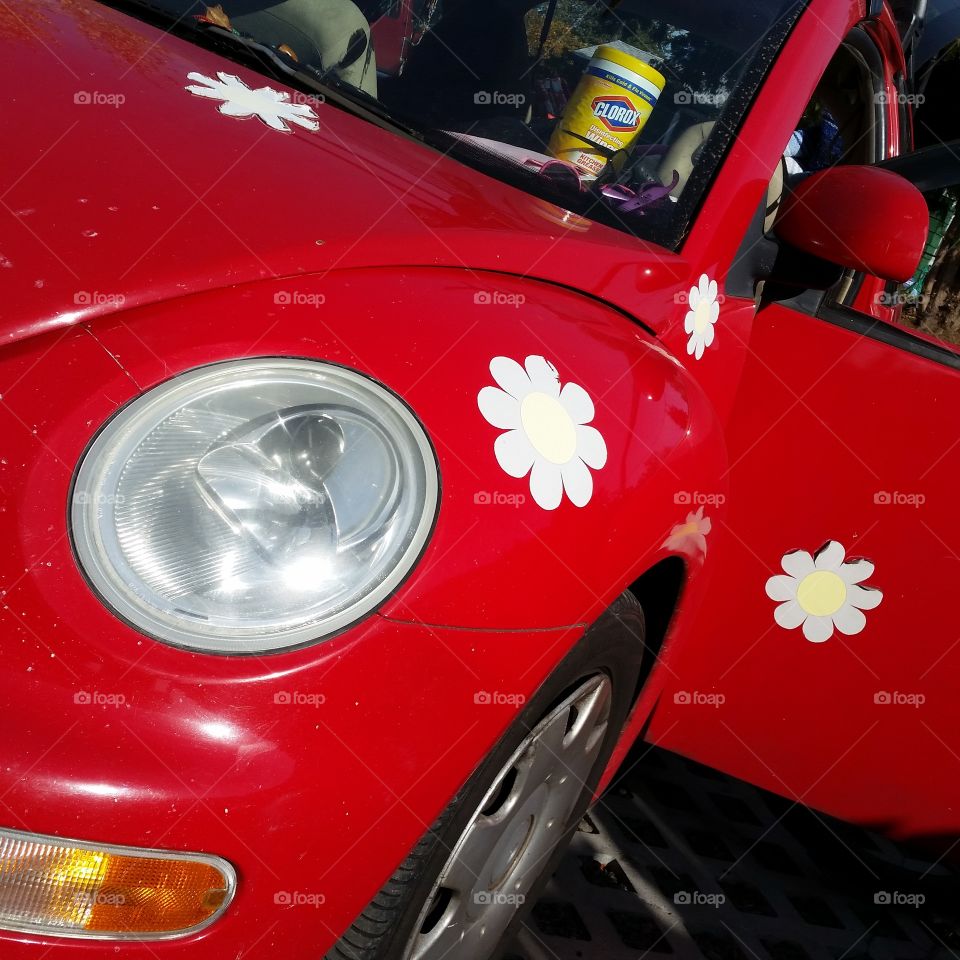 red vw beetle with daisys