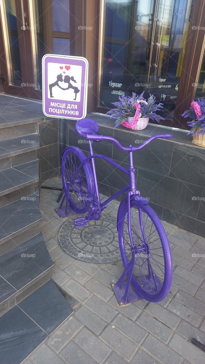 bicycles are the best