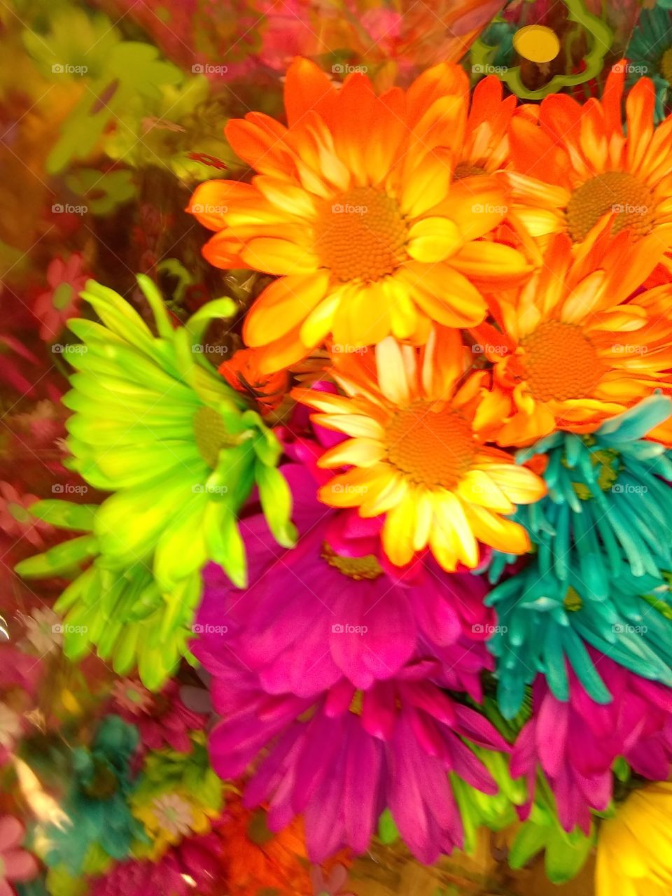 Bright happy flowers