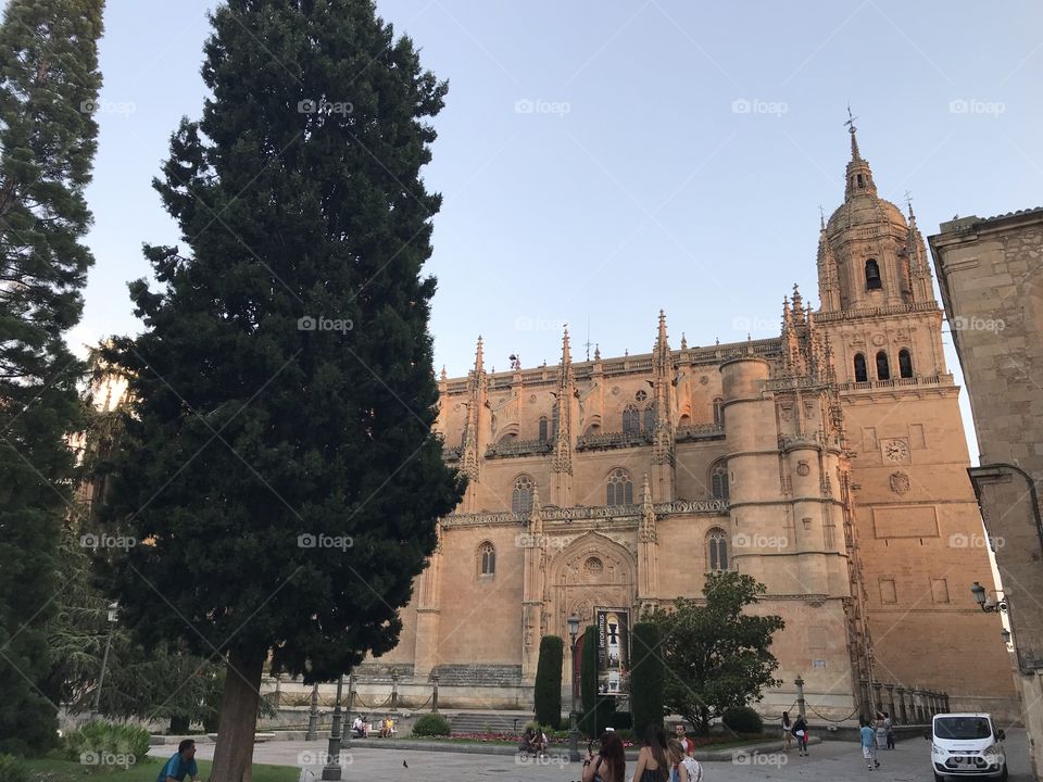 Catedral de Salamanca, Espanha 🇪🇸