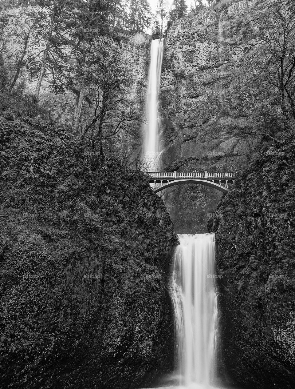 Iconic glory. Oregon's largest waterfall, Multnomah Falls, cascades off a cliff in two stages with the trail bridge in view. 