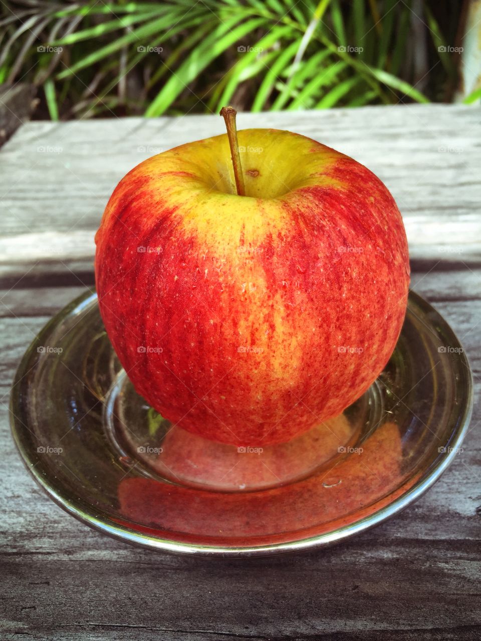 APPLE ON A SILVER PLATE