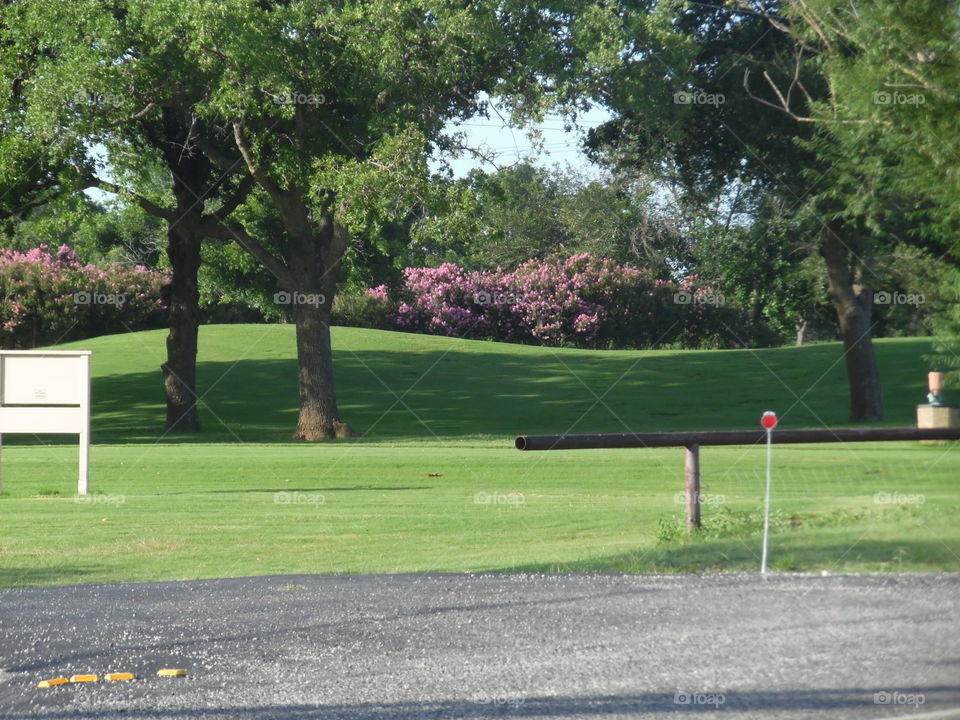 Graham golf ⛳ course. This is a picture of the golf course that I saw while out exploring in East Texas