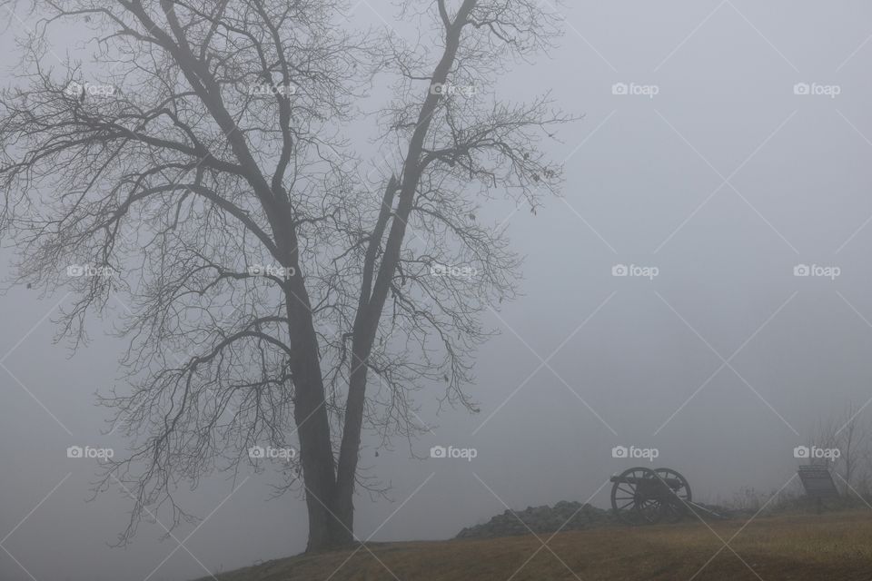 foggy morning on civil war battlefield