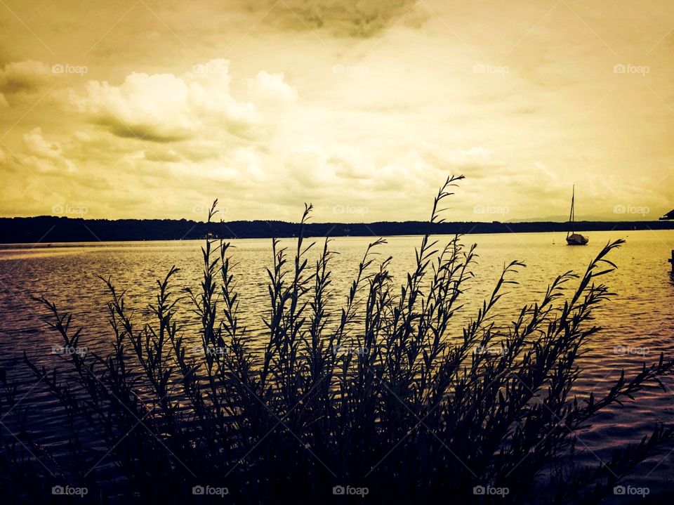 Bushes on the lakeshore , a small boat on the water , cloudy sky at sunset .