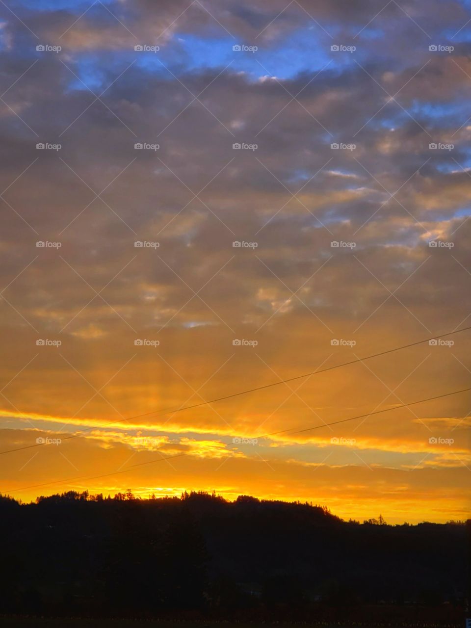 Rays of Sunrise