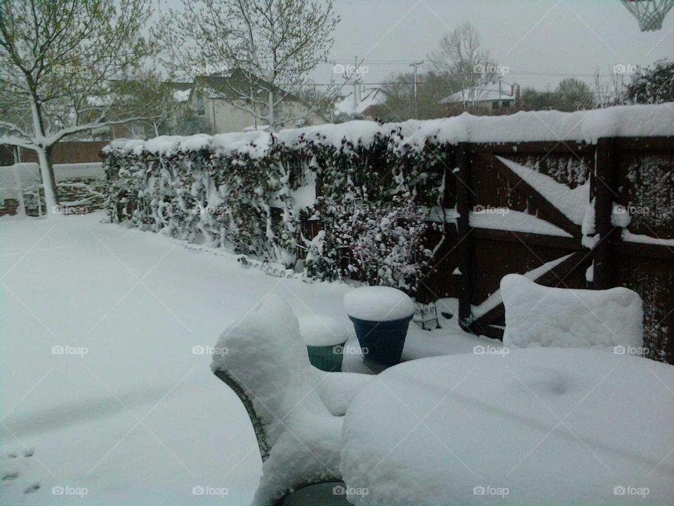 Lots of Snow in Plano Texas