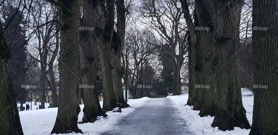 Bjølsenparken Oslo Norway