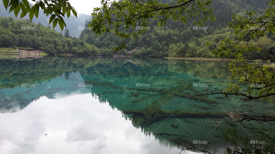 Beautiful reflection in Croatian Plitvice lakes