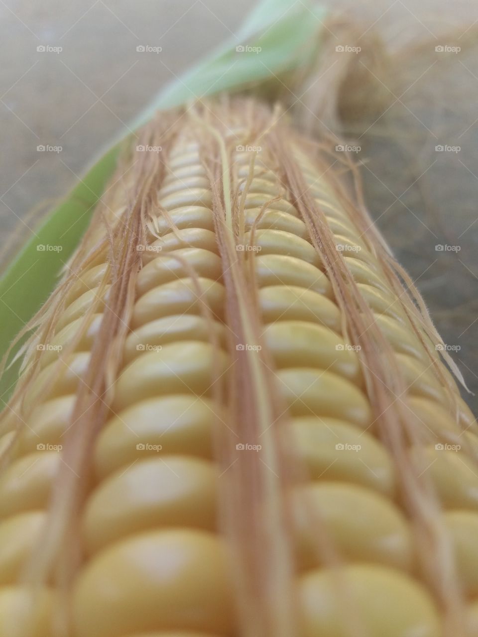 Corn in milky stage