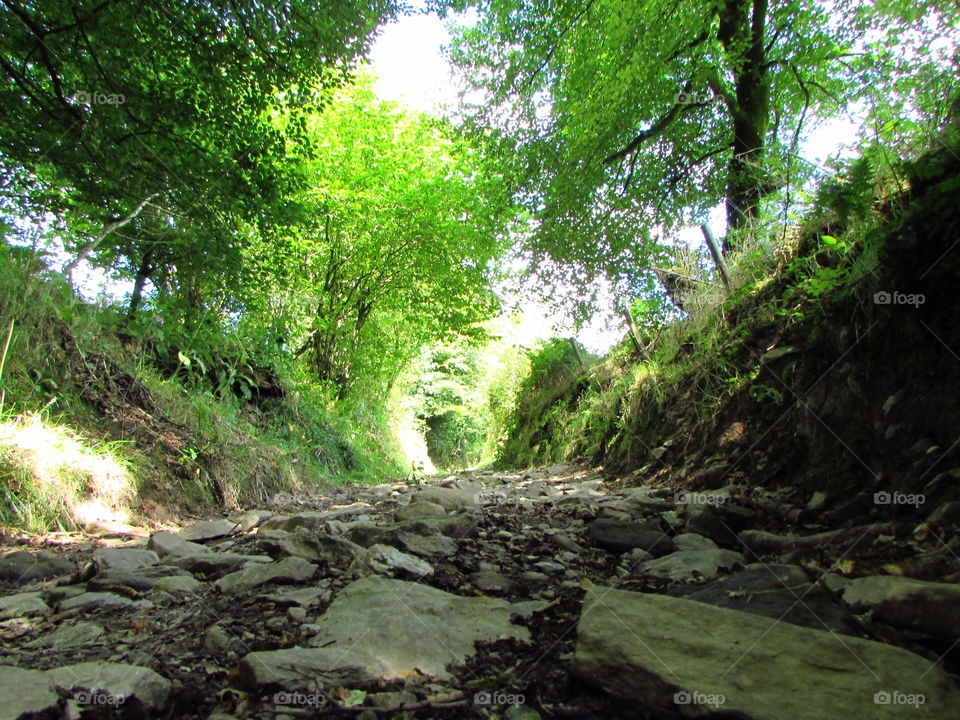 Steep stoney path