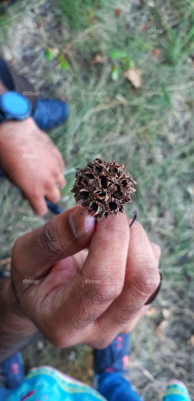 Trip to 📌Potomac river🌊... found these cute things laying everywhere on the ground! My fiancé is the one holding it💕