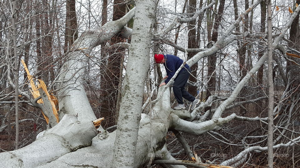 Man Walking on Fallen Tree
