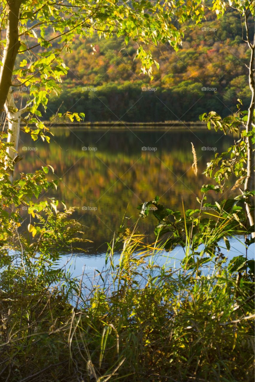New Hampshire Lake in Autumn 