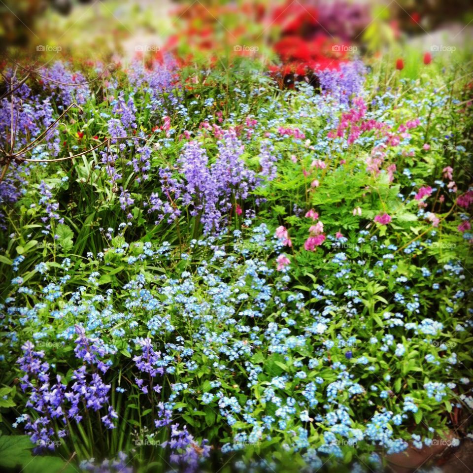 Bursting with Spring