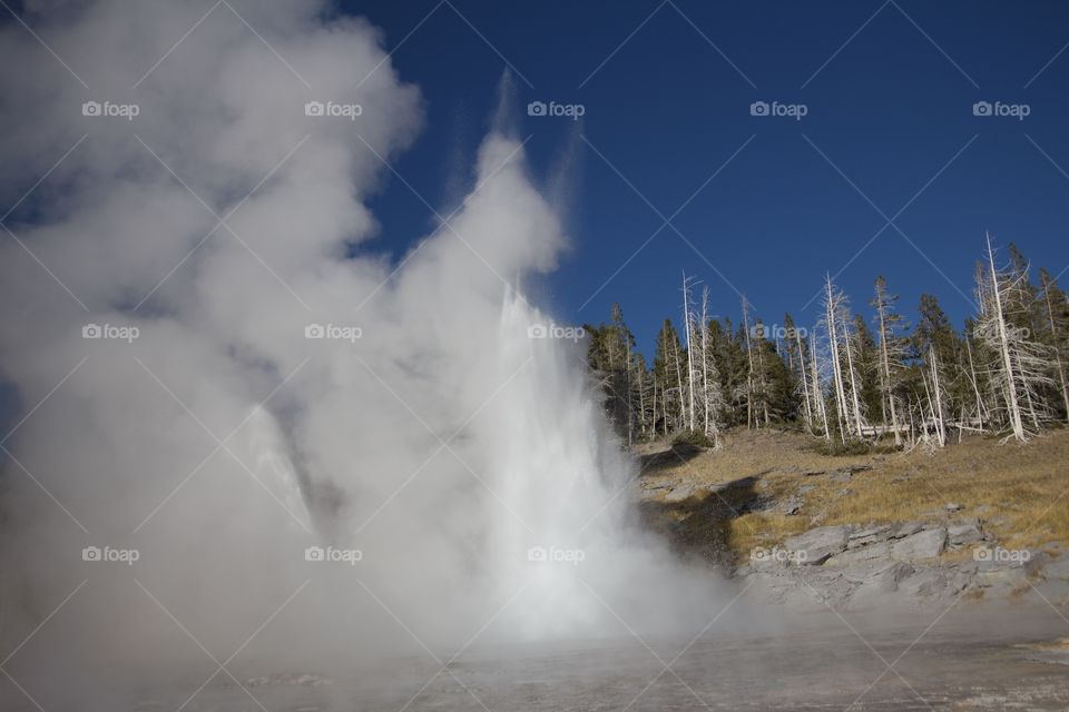 Grand Geyser 