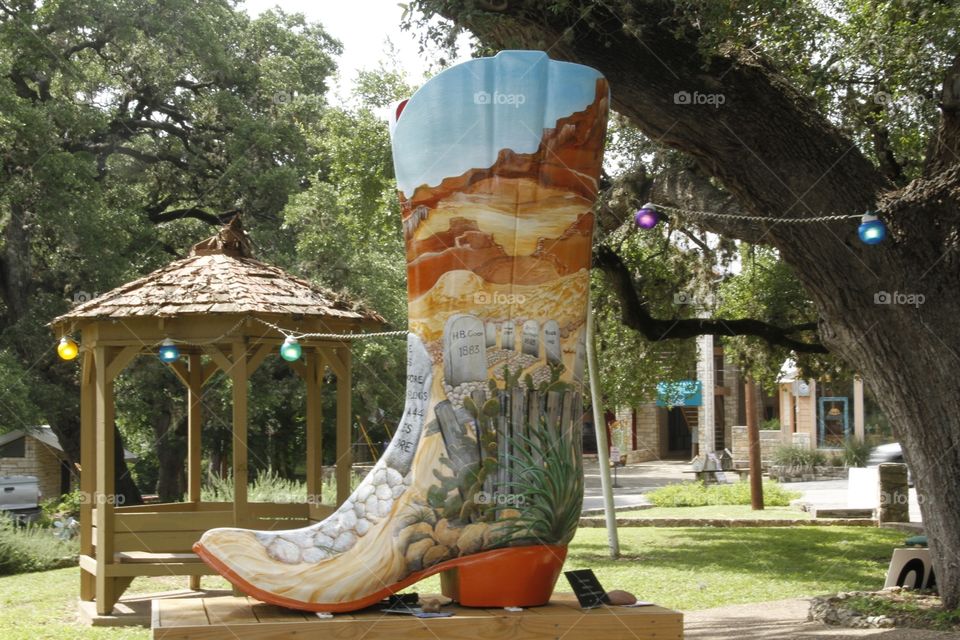 Texas boots 