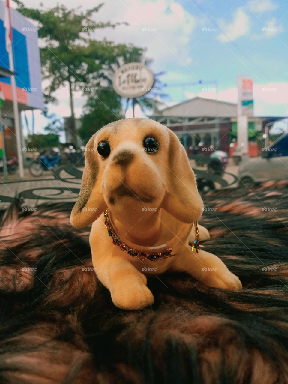 the best objeck photo toy dog