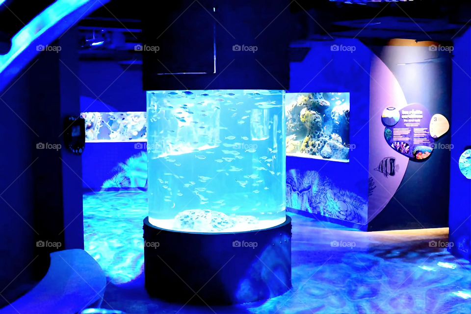 Visiting the aquarium - Day out - Family Time