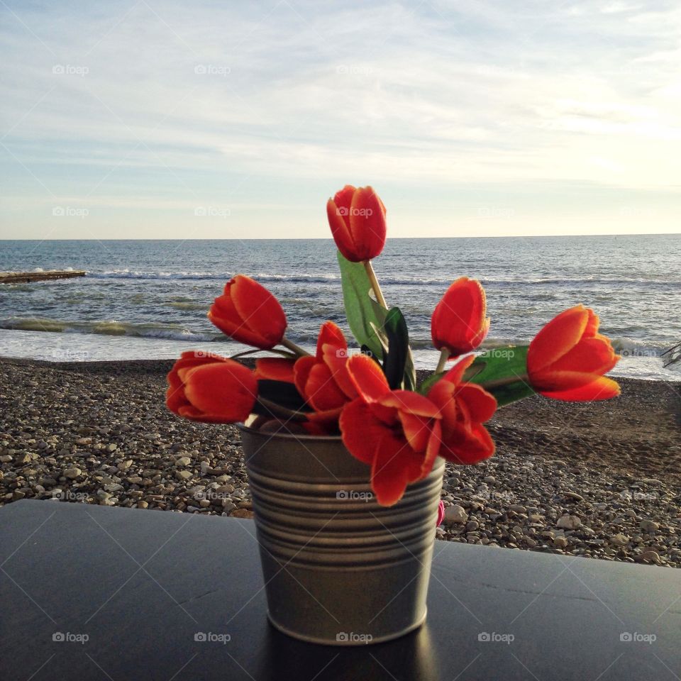 Tulips on the sea