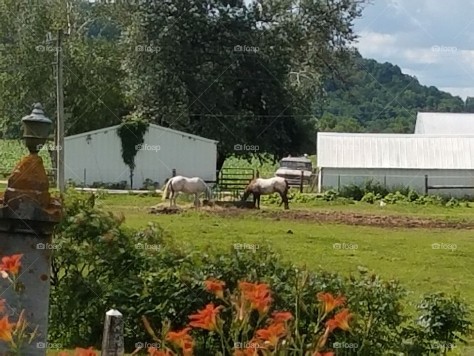 Driving the Back Roads and enjoying everything around us