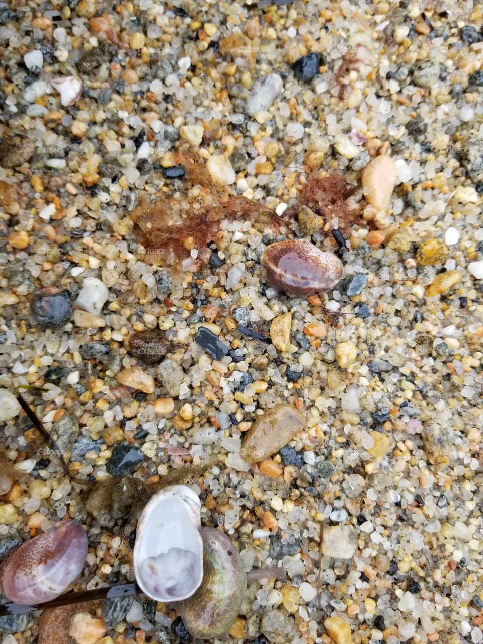 sand finds