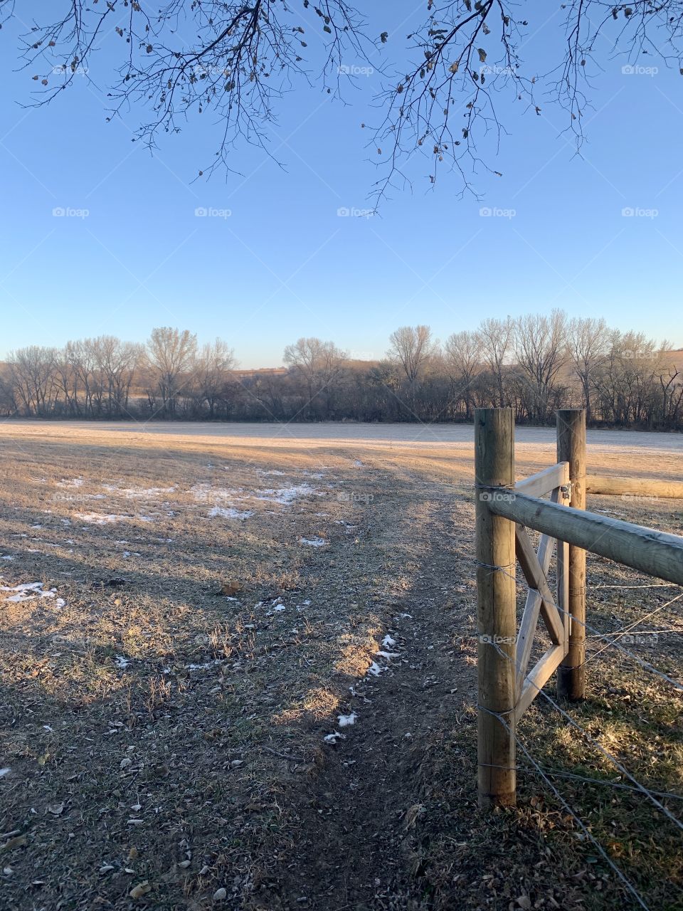 View from a wooden gate across an empty farm field to bare trees in distant hills on a beautiful autumn day- portrait