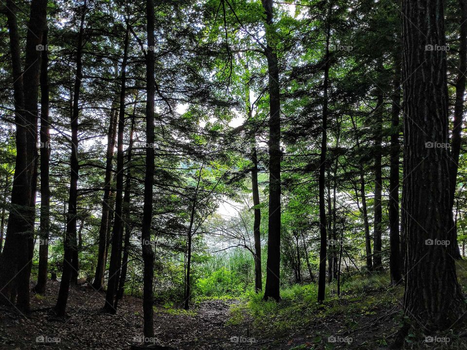 lookout into the water