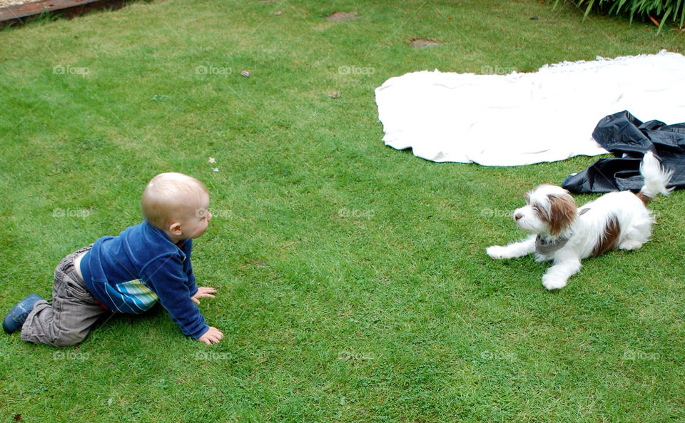 Baby vs Puppy