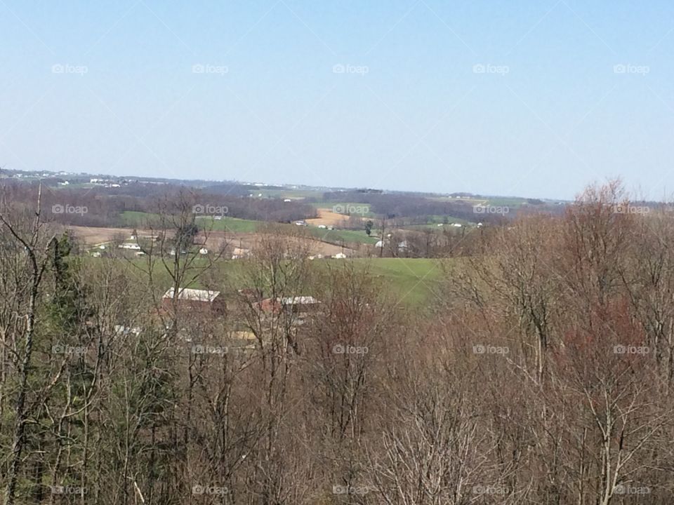 Baltic Valley.  Spring time 