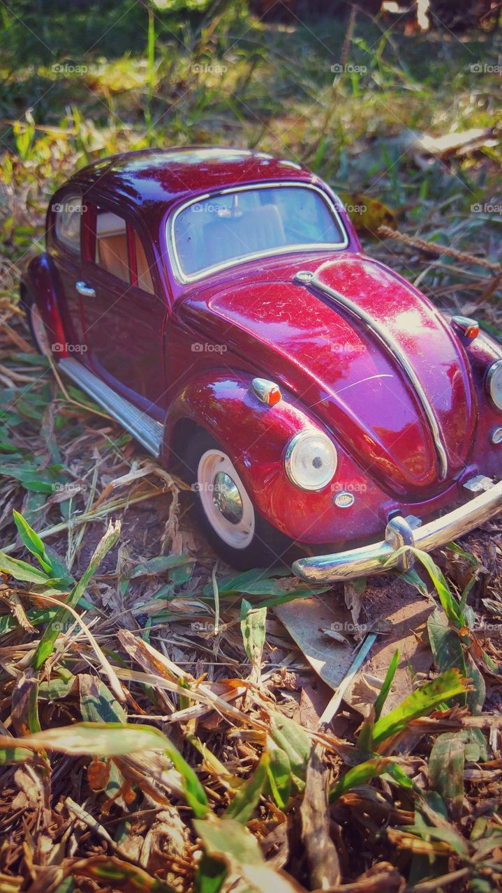 Fusca carro car vinho wine color