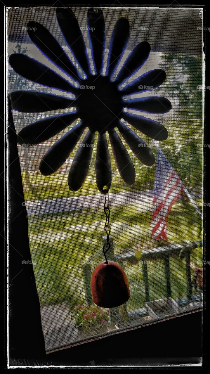 Front yard view through a screen window