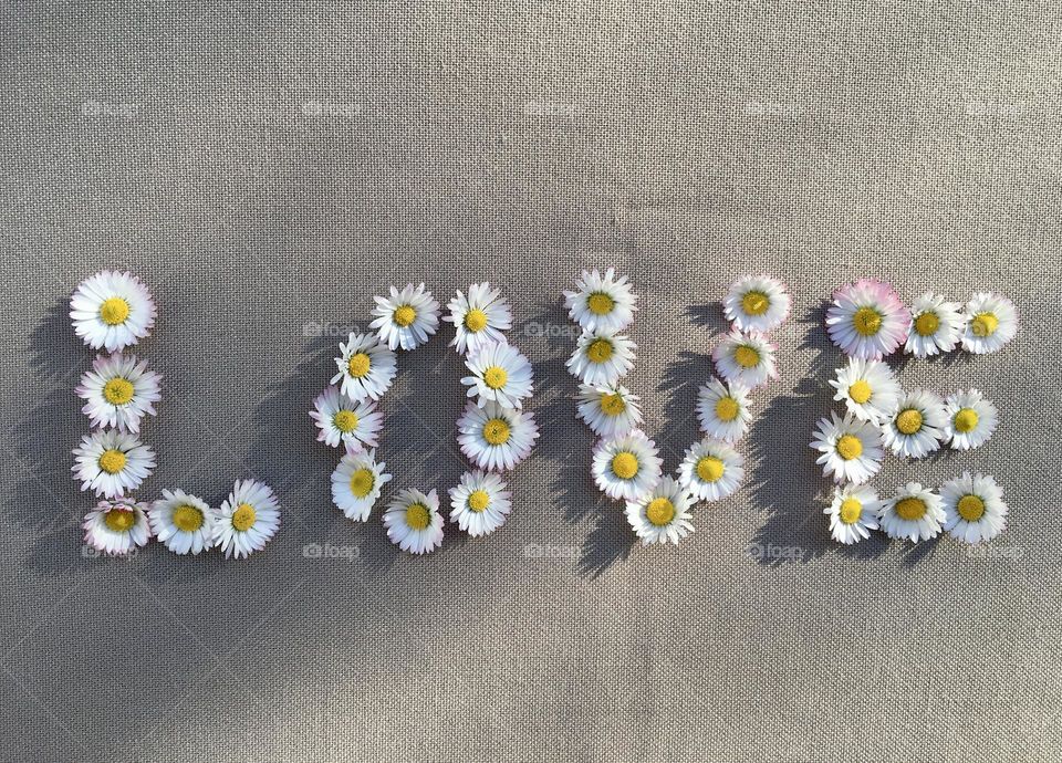 Letters of Love with daisies