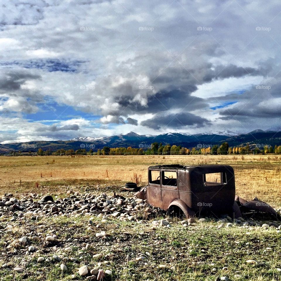 Antique Car in Field 