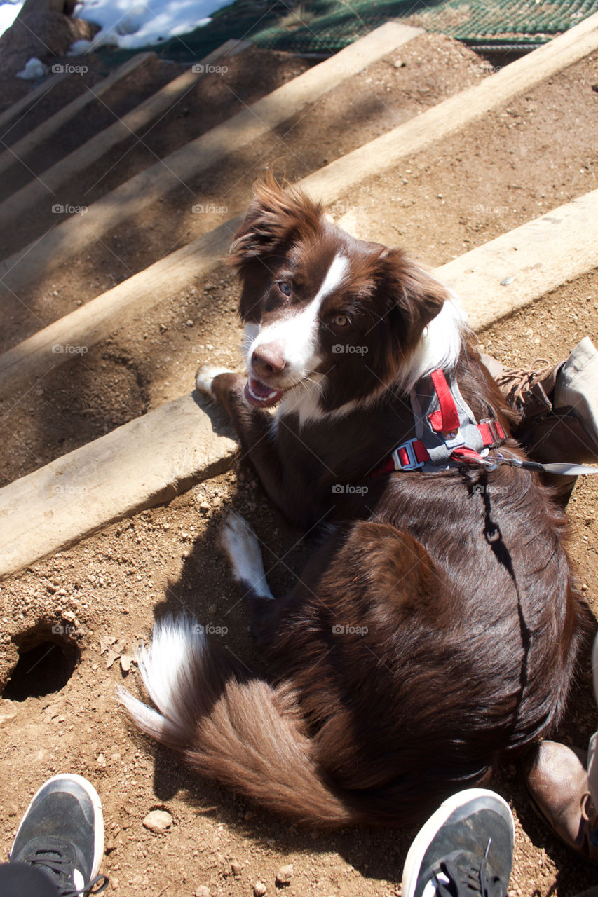 Just look at the joy in my face as I take in how much I love you 