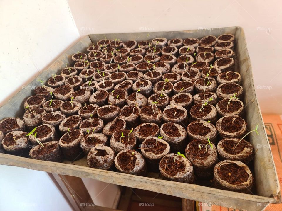 Coco Dises 35mm,40mm,45mm,50mm
how to use contact whatsapp +94728262024