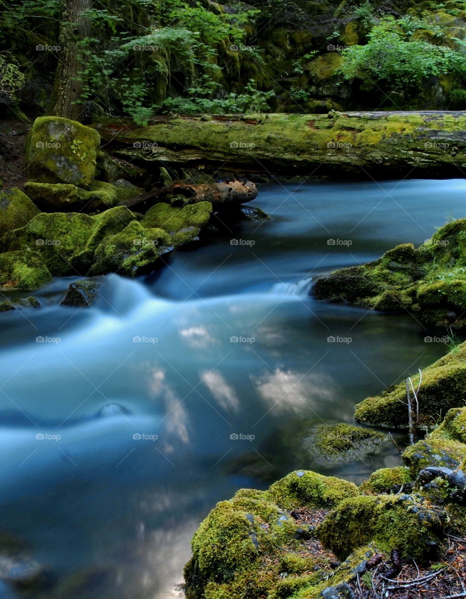 Scenic view of river