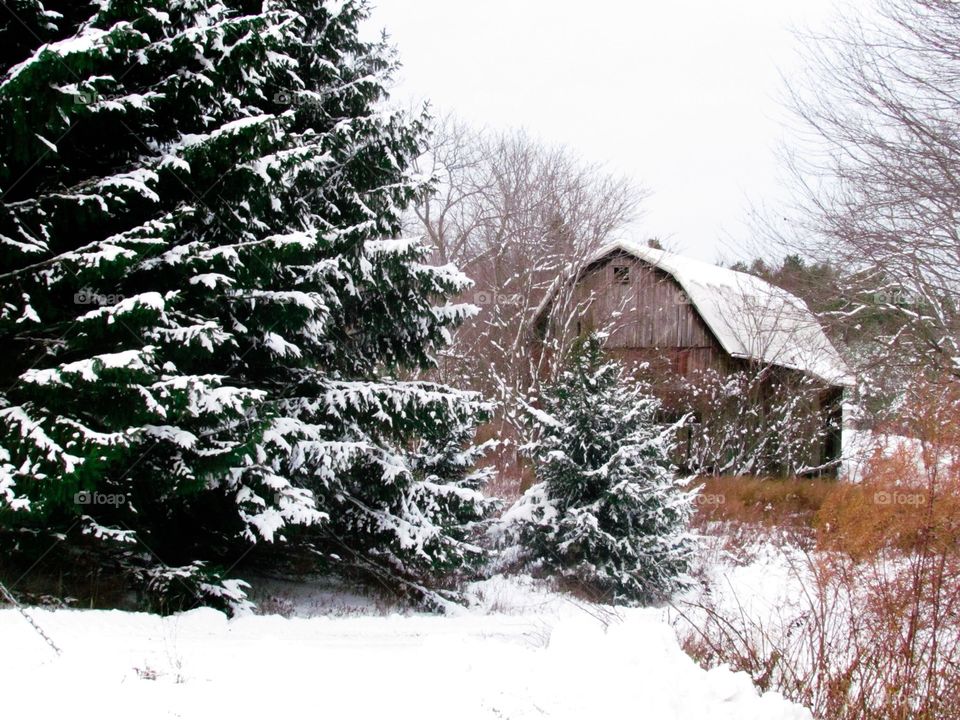 Snow covered barn