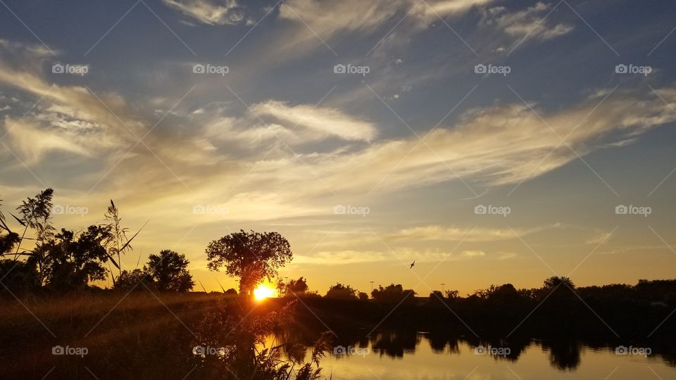 summer sunset on the pond