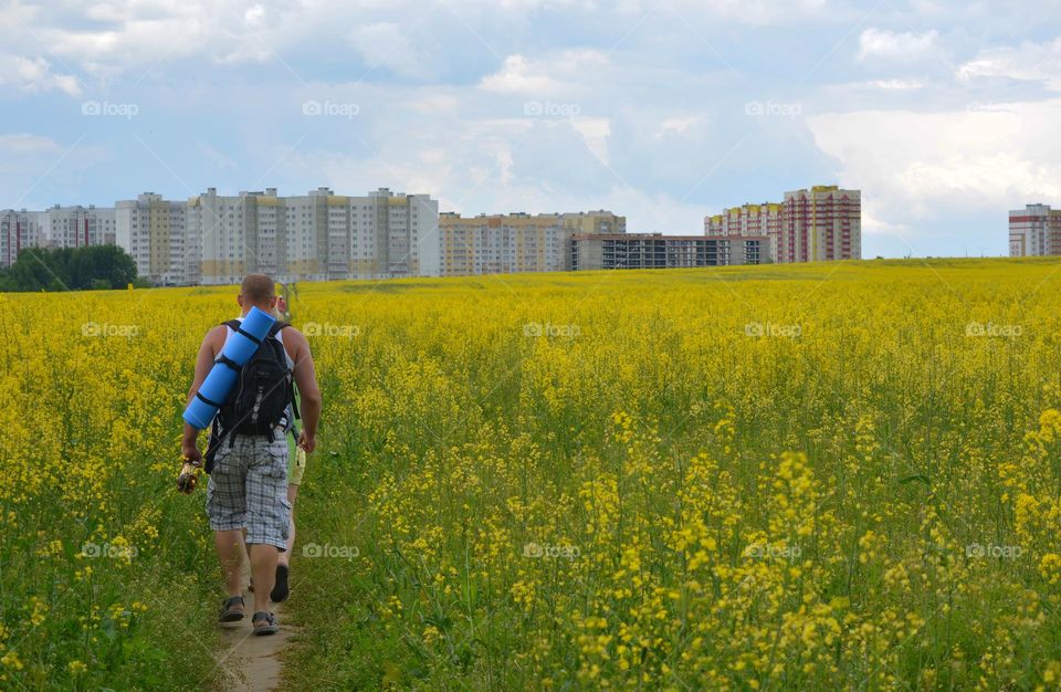 urban plants rapeseed