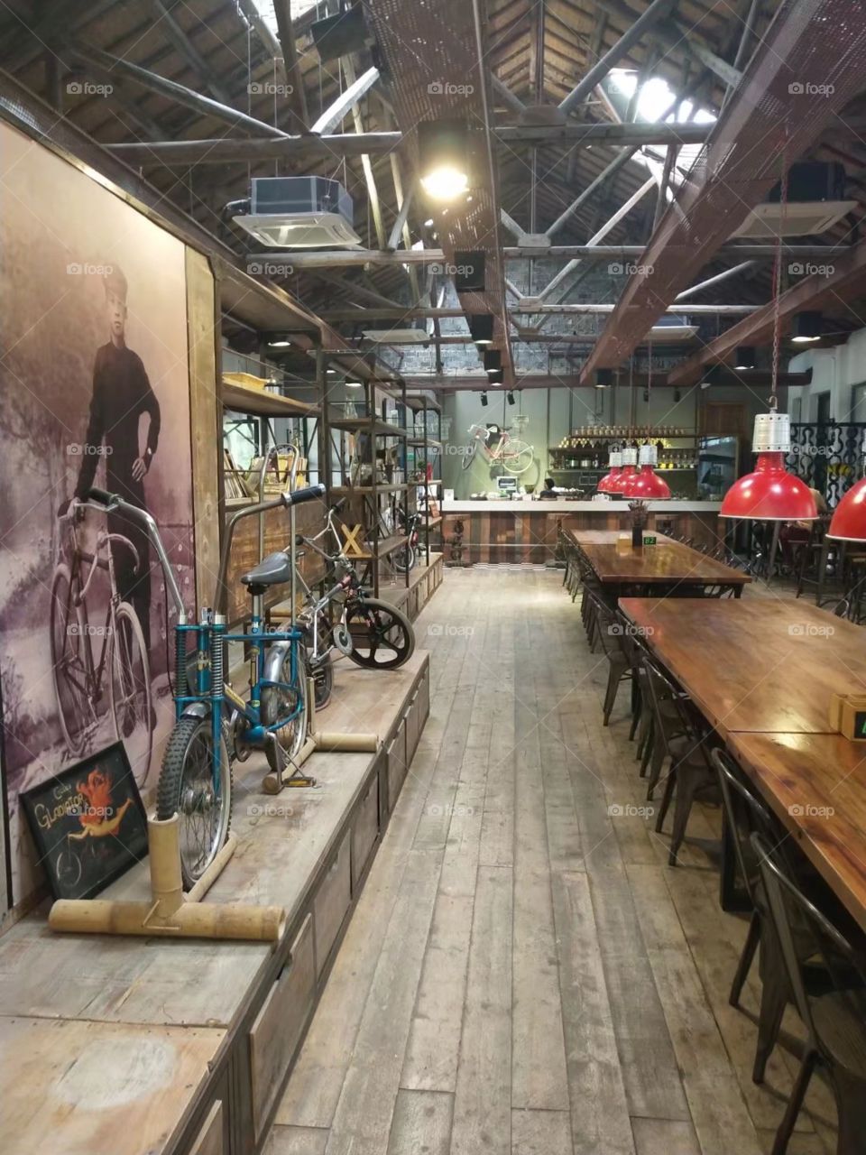 collection on display