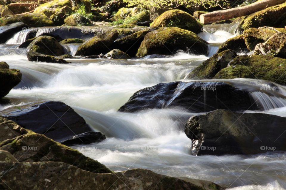 River Bovey