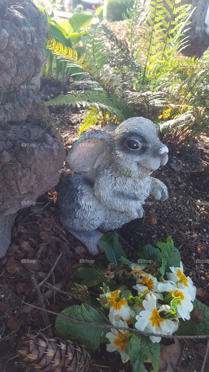 garden bunny