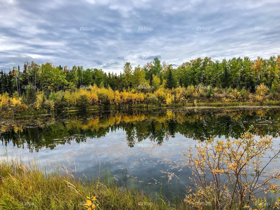 Autumn reflection 