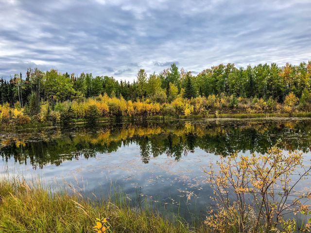 Autumn reflection 